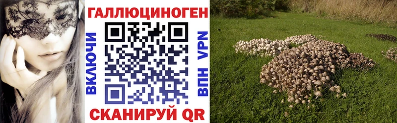 Купить где  Болгар  Псилоцибиновые грибы прущие грибы 