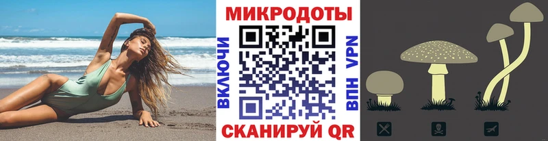 Псилоцибиновые грибы мухоморы Болгар